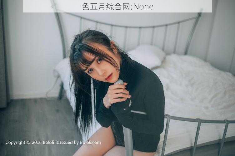 色五月综合网;None