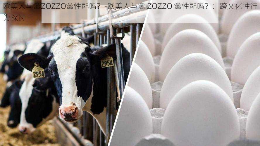 欧美人与禽ZOZZO禽性配吗？-欧美人与禽 ZOZZO 禽性配吗？：跨文化性行为探讨