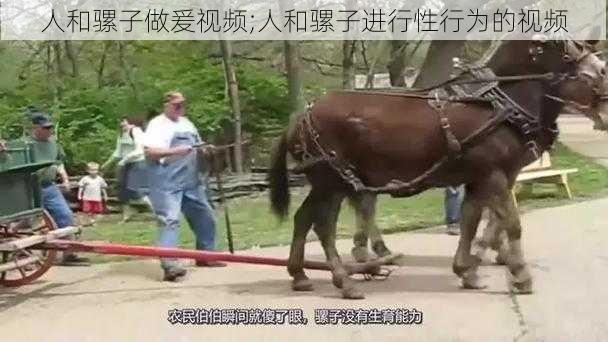 人和骡子做爰视频;人和骡子进行性行为的视频