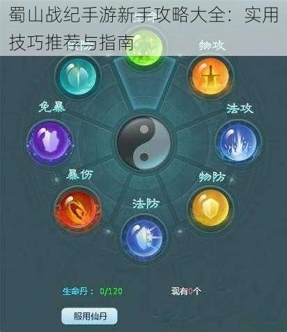 蜀山战纪手游新手攻略大全：实用技巧推荐与指南