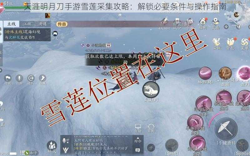 天涯明月刀手游雪莲采集攻略：解锁必要条件与操作指南