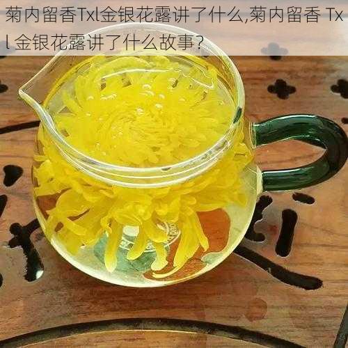 菊内留香Txl金银花露讲了什么,菊内留香 Txl 金银花露讲了什么故事？