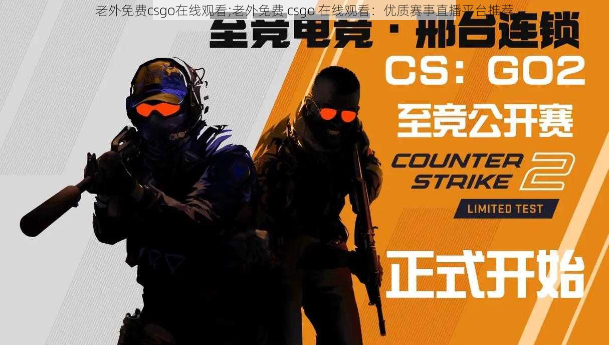 老外免费csgo在线观看;老外免费 csgo 在线观看：优质赛事直播平台推荐