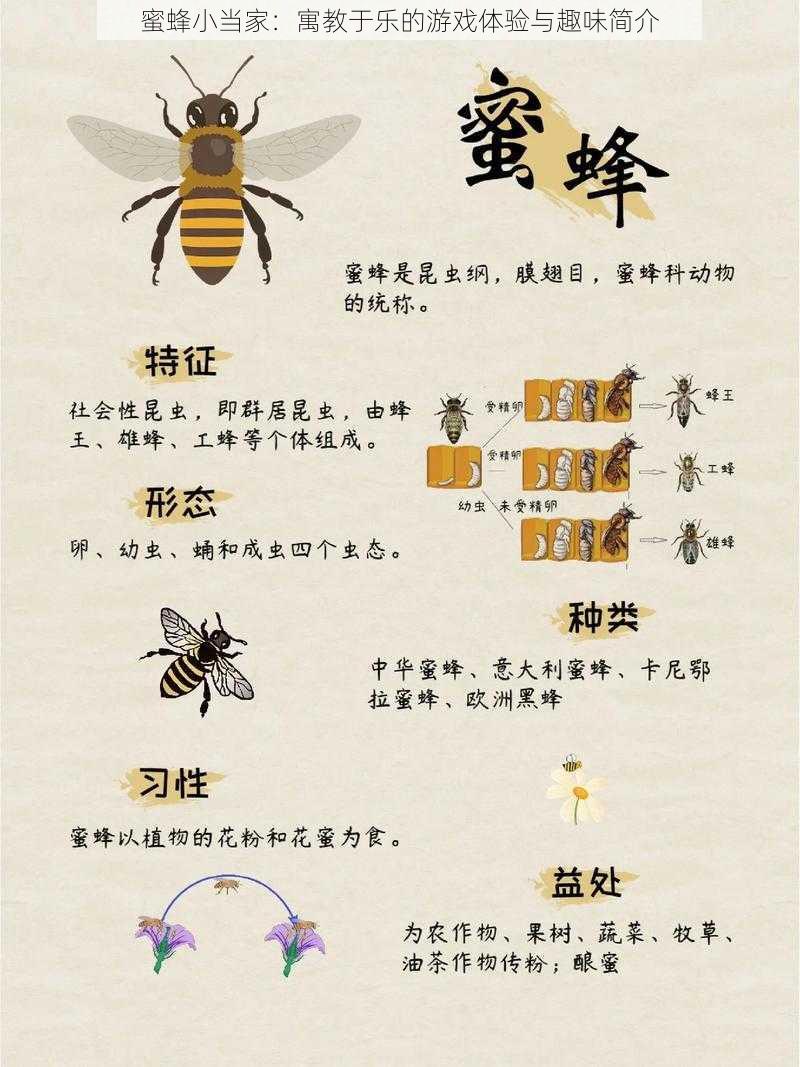 蜜蜂小当家：寓教于乐的游戏体验与趣味简介