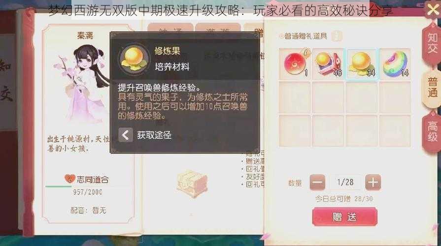 梦幻西游无双版中期极速升级攻略：玩家必看的高效秘诀分享