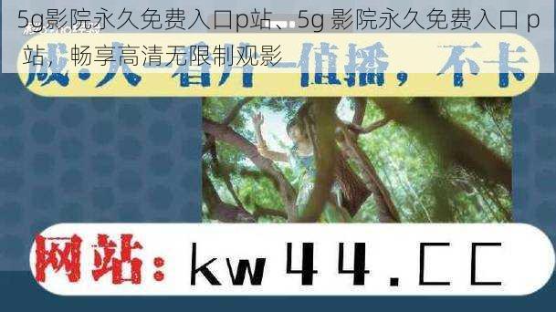 5g影院永久免费入口p站、5g 影院永久免费入口 p 站，畅享高清无限制观影