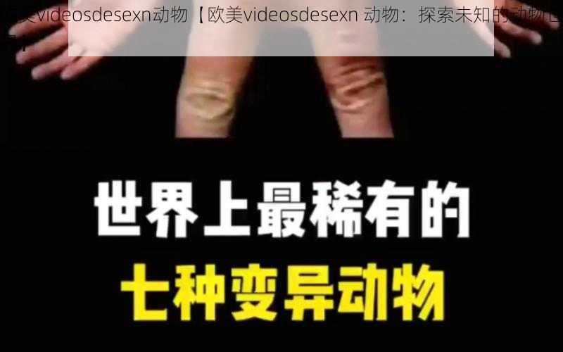 欧美videosdesexn动物【欧美videosdesexn 动物：探索未知的动物世界】