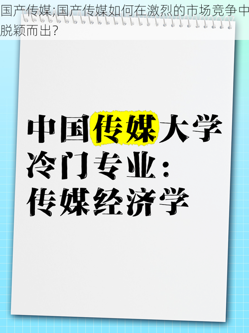 国产传媒;国产传媒如何在激烈的市场竞争中脱颖而出？