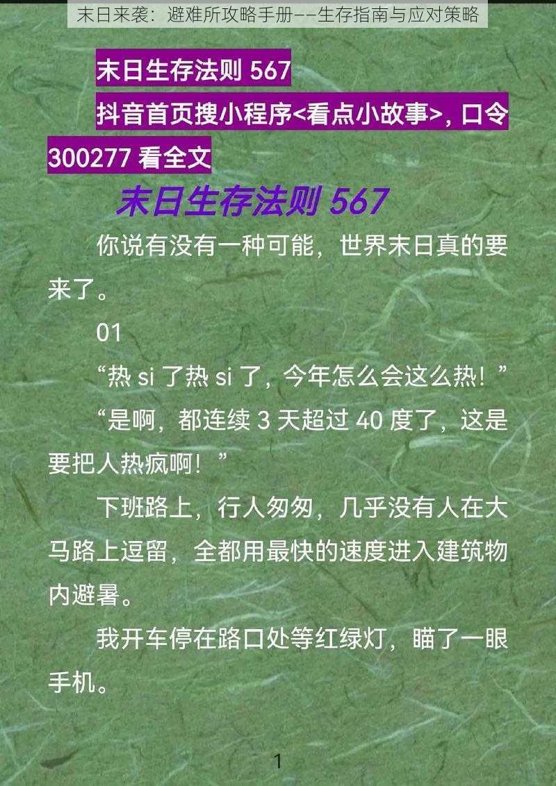 末日来袭：避难所攻略手册——生存指南与应对策略