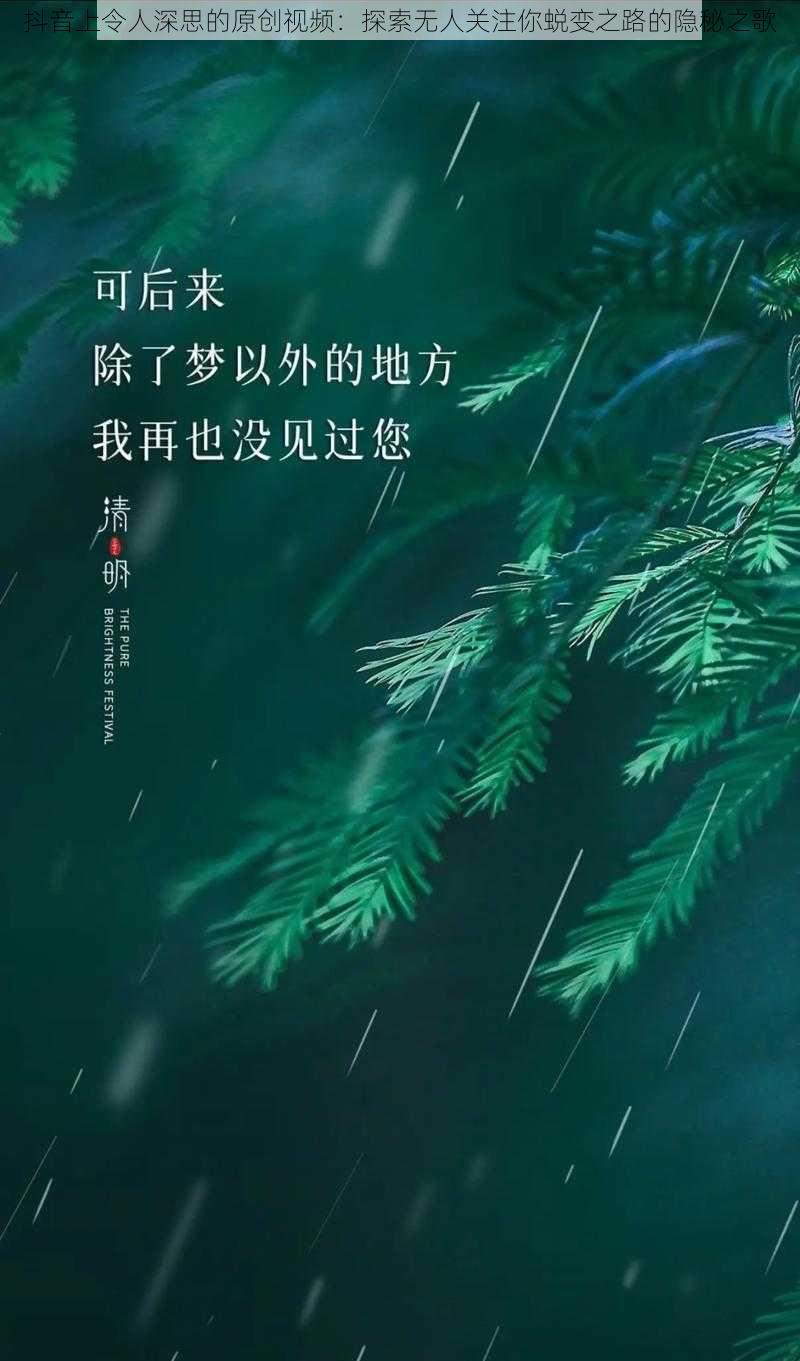 抖音上令人深思的原创视频：探索无人关注你蜕变之路的隐秘之歌