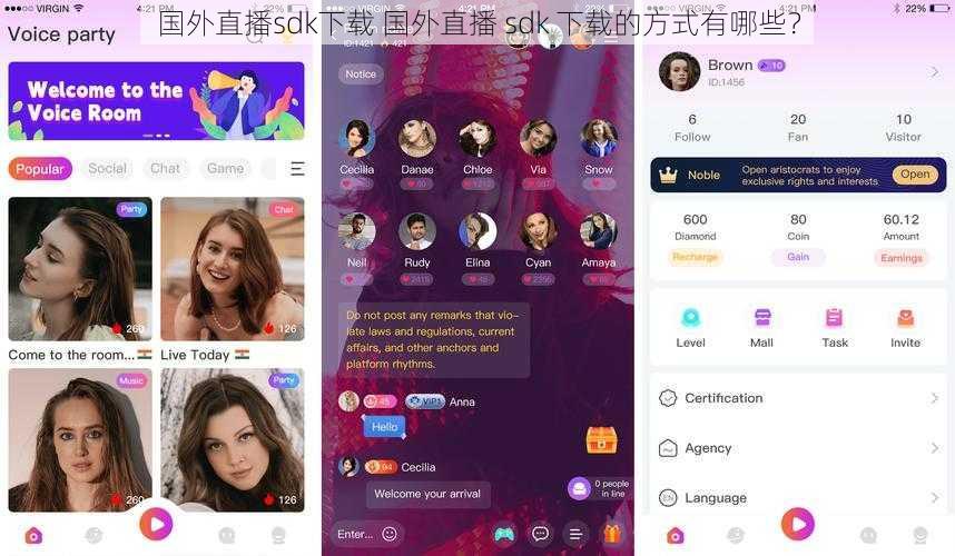 国外直播sdk下载 国外直播 sdk 下载的方式有哪些？