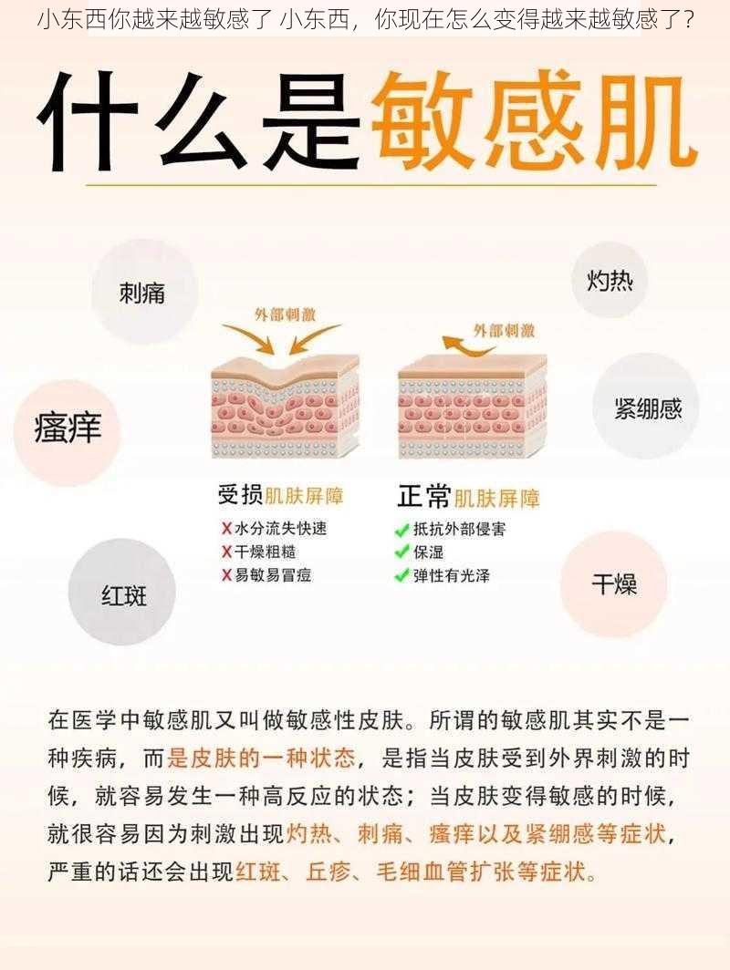 小东西你越来越敏感了 小东西，你现在怎么变得越来越敏感了？