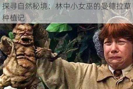 探寻自然秘境：林中小女巫的曼德拉草种植记