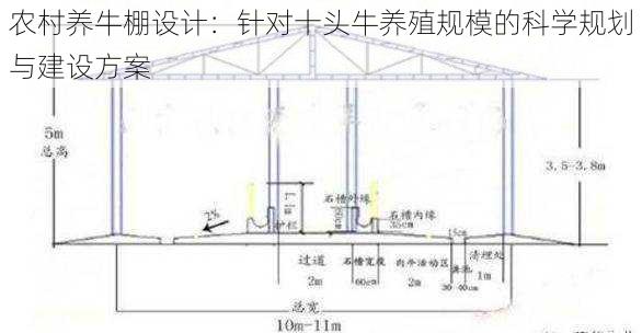 农村养牛棚设计：针对十头牛养殖规模的科学规划与建设方案