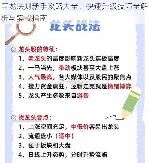 巨龙法则新手攻略大全：快速升级技巧全解析与实战指南