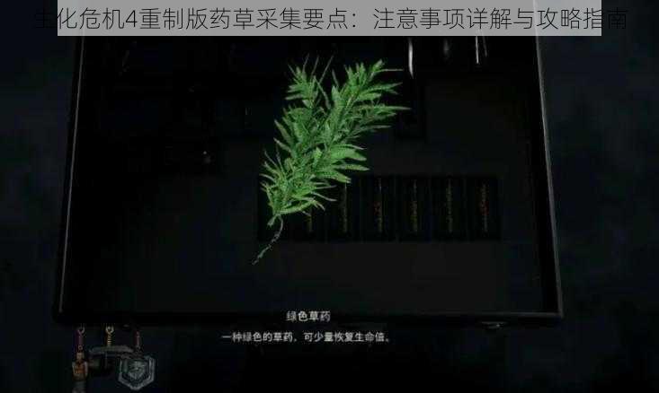 生化危机4重制版药草采集要点：注意事项详解与攻略指南