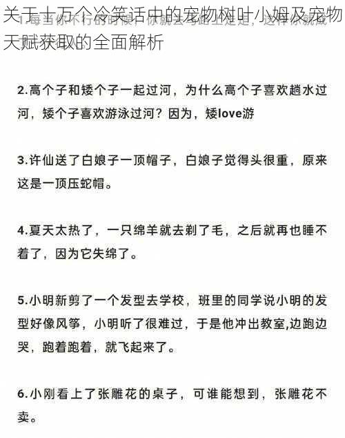 关于十万个冷笑话中的宠物树叶小姆及宠物天赋获取的全面解析