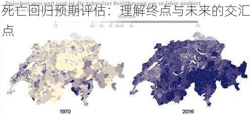 死亡回归预期评估：理解终点与未来的交汇点